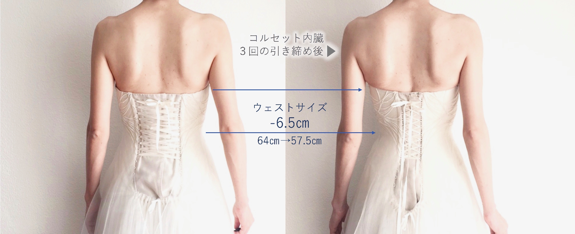 コルセット内臓 3回の引き締め後