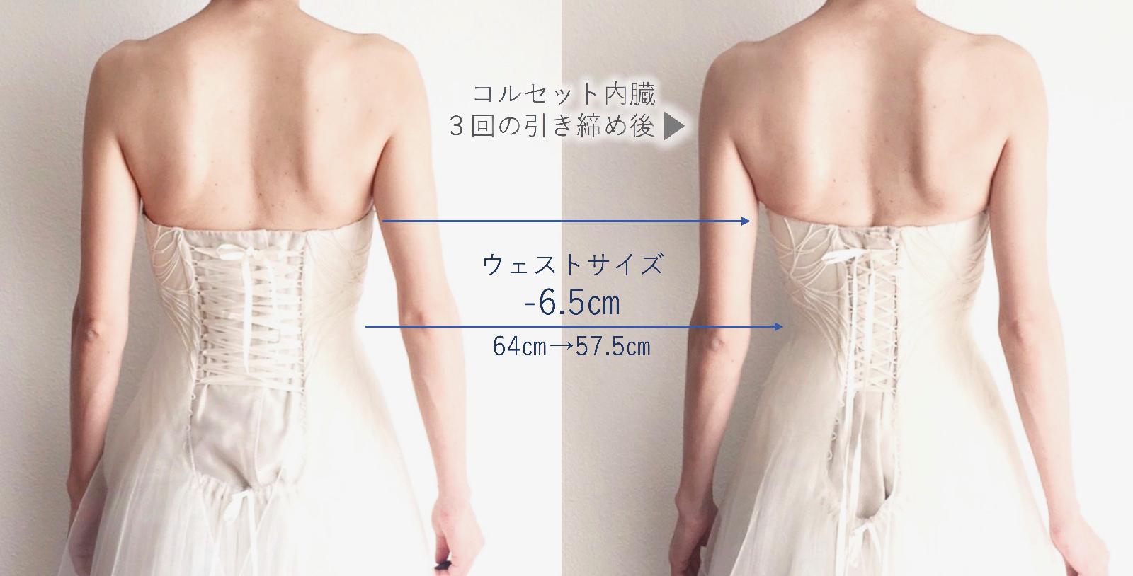 コルセット内臓 3回の引き締め後